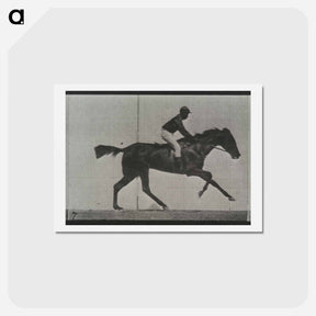 アートポストカード-Galloping Horse and Rider
 - エドワード マイブリッジ Postcard.