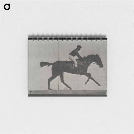 アートメモ帳-Galloping Horse and Rider
 - エドワード マイブリッジ Memo.