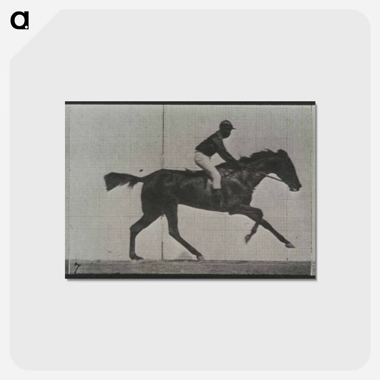 アートポストカード-Galloping Horse and Rider
 - エドワード マイブリッジ Postcard.