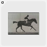 アートポストカード-Galloping Horse and Rider
 - エドワード マイブリッジ Postcard.