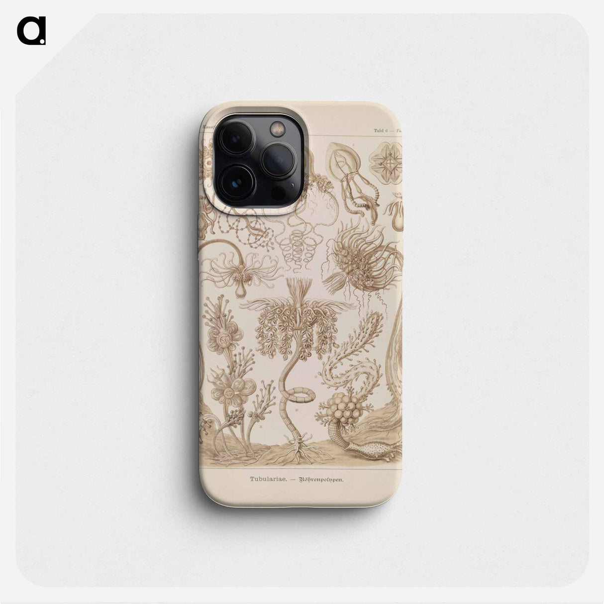 Marine life illustration - エルンスト ヘッケル Phone Case.