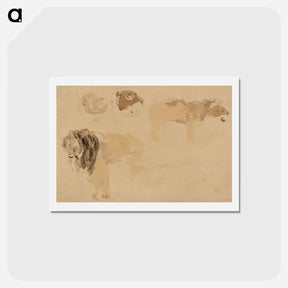 アートポストカード-Study of lions - ウジェーヌ ドラクロワ Postcard.