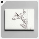 アートパネル-Head of a cow, to the left - ジャン ベルナール Canvas.