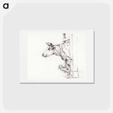 アートポストカード-Head of a cow, to the left - ジャン ベルナール Postcard.