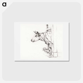 アートポストカード-Head of a cow, to the left - ジャン ベルナール Postcard.
