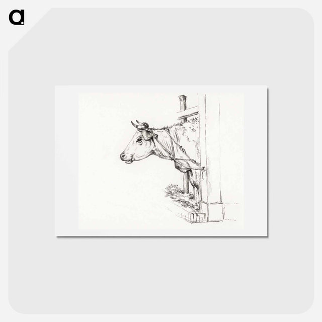 アートポストカード-Head of a cow, to the left - ジャン ベルナール Postcard.
