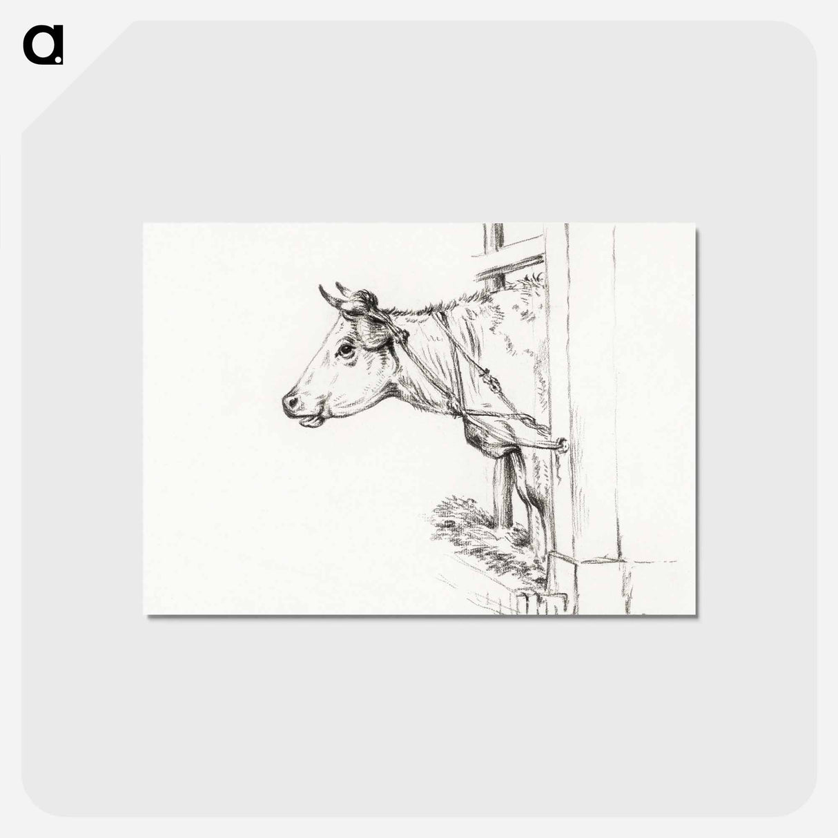 アートポストカード-Head of a cow, to the left - ジャン ベルナール Postcard.