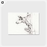 アートポストカード-Head of a cow, to the left - ジャン ベルナール Postcard.