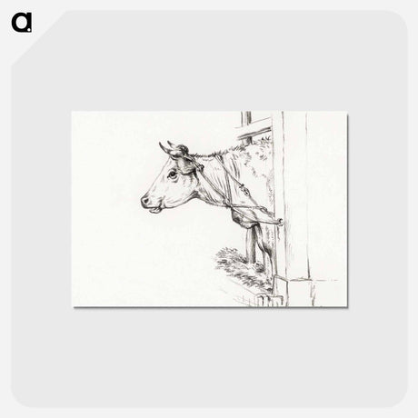 アートポストカード-Head of a cow, to the left - ジャン ベルナール Postcard.