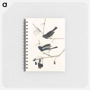 アートメモ帳-Snow Bird
 - ジョン ジェームス オーデュボン Memo.