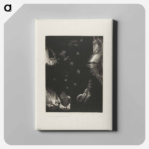 Different Peoples Inhabit the Countries of the Ocean, plate 23 of 24 - オディロン ルドン Canvas.