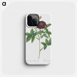 Rose of Van Eeden - ピエール ジョゼフ ルドゥーテ Phone Case.