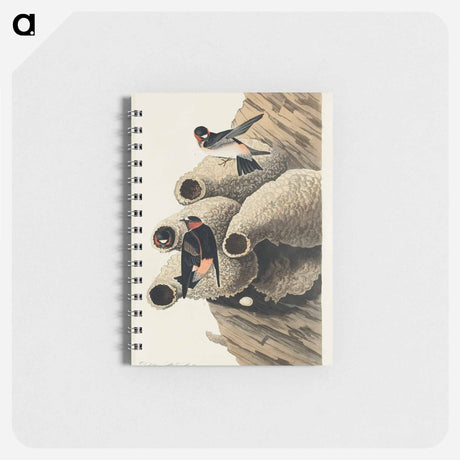 アートメモ帳-Republican, or Cliff Swallow from Birds of America
 - アメリカの鳥たち Memo.
