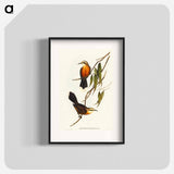 Red-breasted Pomatorhinus
 - オーストラリアの鳥 Poster.