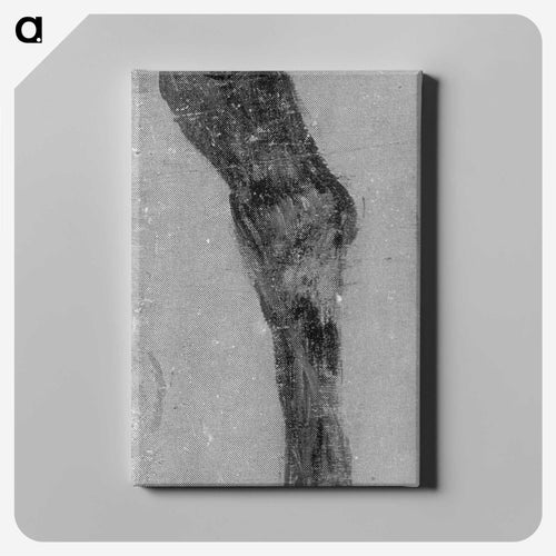 Study of a horse's leg for the Fairman Rogers Four in Hand - トーマス エイキンズ Canvas.
