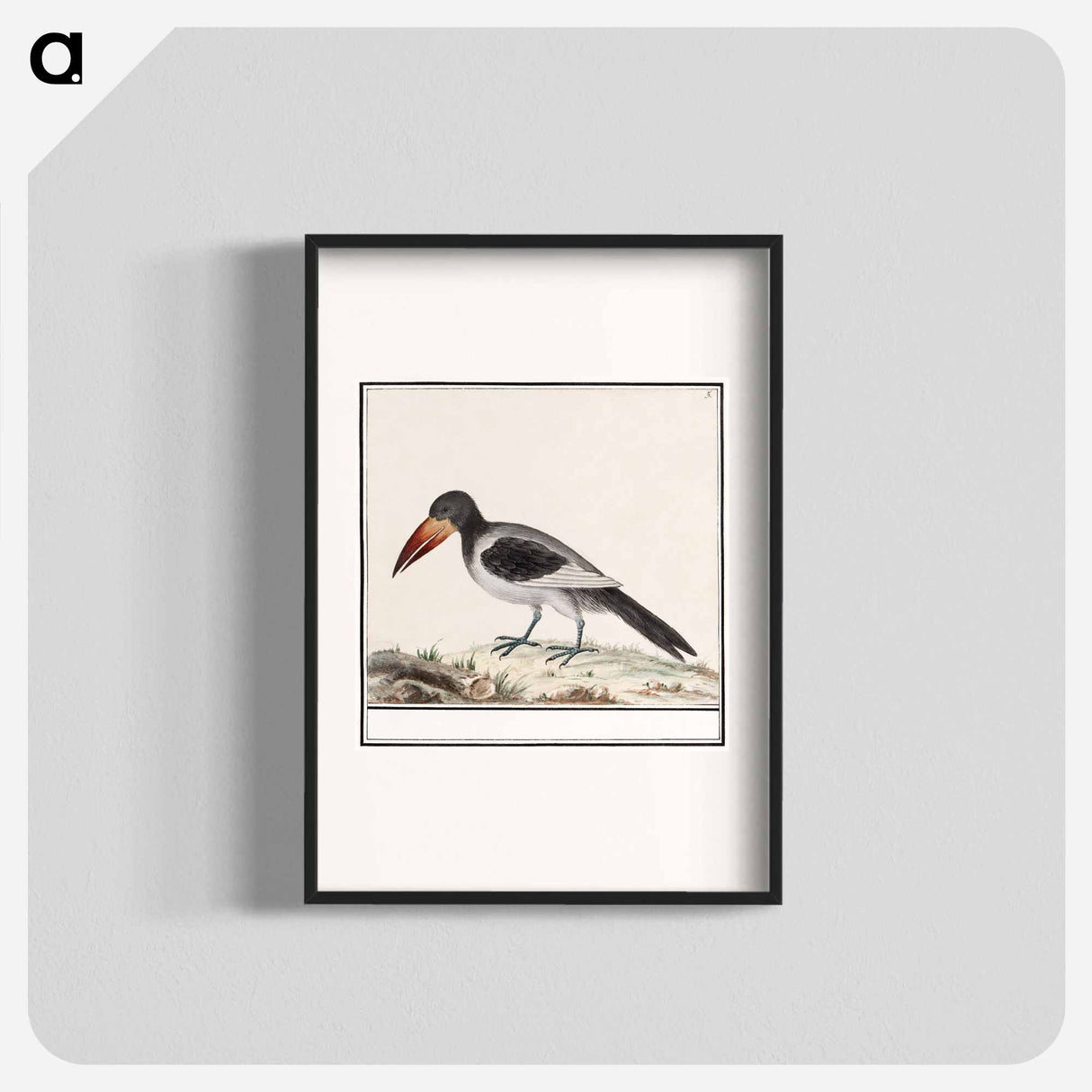 Unknown bird - アンセルムス ボエティウス デ ブート Poster.