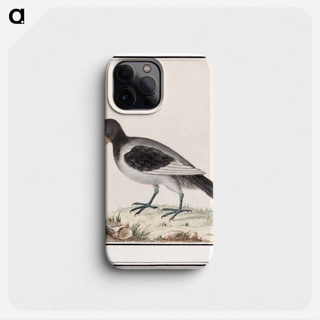 Unknown bird - アンセルムス ボエティウス デ ブート Phone Case.