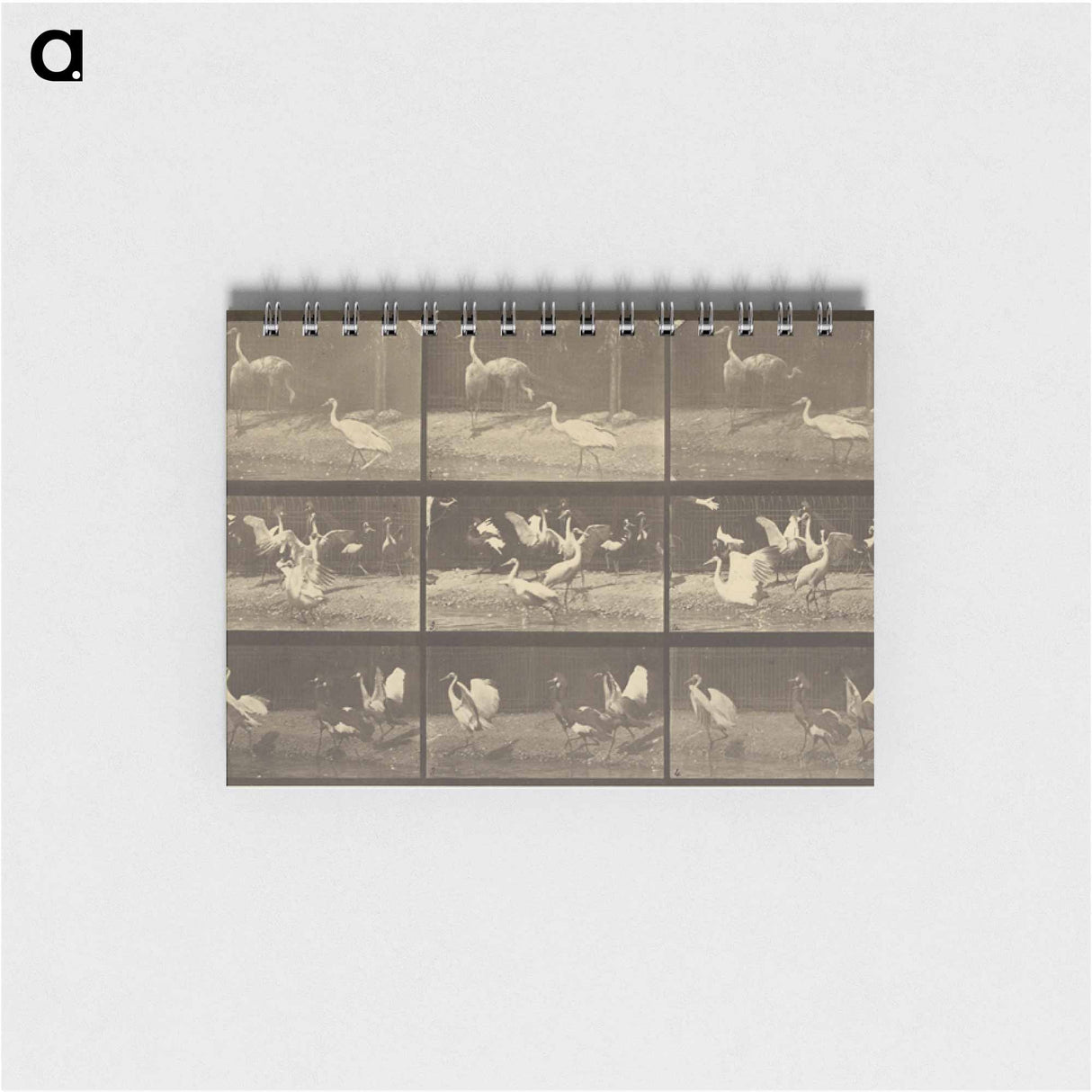アートメモ帳-Animal Locomotion
 - エドワード マイブリッジ Memo.