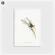 アートポストカード-Green-backed Zosterops
 - ジョン グールド Postcard.