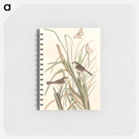 アートメモ帳-MacGillivray's Finch
 - ジョン ジェームス オーデュボン Memo.
