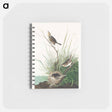 アートメモ帳-Sharp-tailed Finch from Birds of America
 - アメリカの鳥たち Memo.