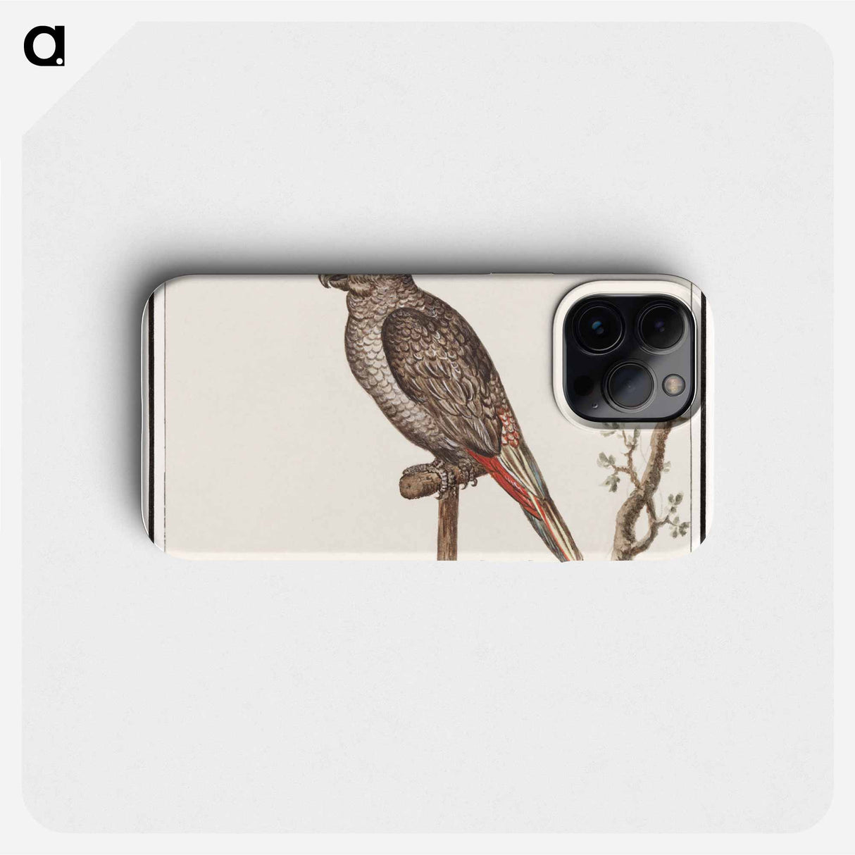 Parrot - アンセルムス ボエティウス デ ブート Phone Case.