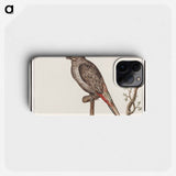 Parrot - アンセルムス ボエティウス デ ブート Phone Case.