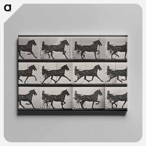 アートパネル-Chariot in Motion
 - エドワード マイブリッジ Canvas.