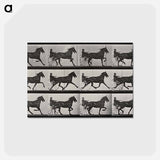 アートポストカード-Chariot in Motion
 - エドワード マイブリッジ Postcard.