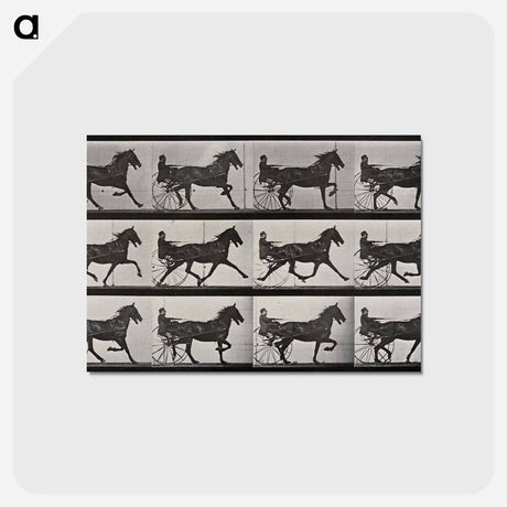 アートポストカード-Chariot in Motion
 - エドワード マイブリッジ Postcard.