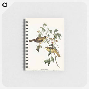 アートメモ帳-Australian Bell Bird
 - ジョン グールド Memo.