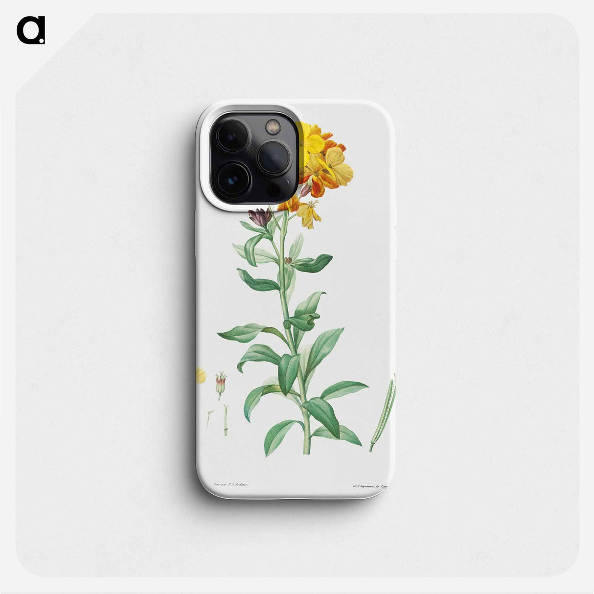 Wallflower, Cheiranthus cheiri - Pierre Joseph Redouté Phone Case.