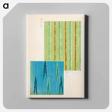 Shima-Shima
 - しましま Canvas.
