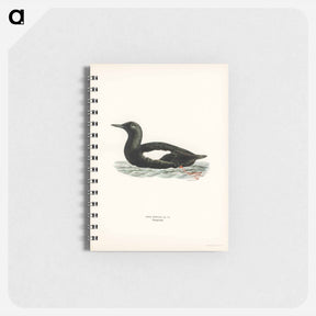 アートメモ帳-Black Guillemot
 - スヴェンスカ フォグラル Memo.