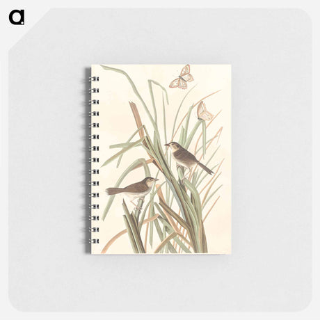 アートメモ帳-MacGillivray's Finch from Birds of America
 - アメリカの鳥たち Memo.