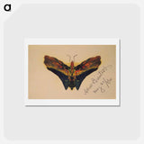 アートポストカード-Butterfly (second version) - アルバート ビアスタット Postcard.