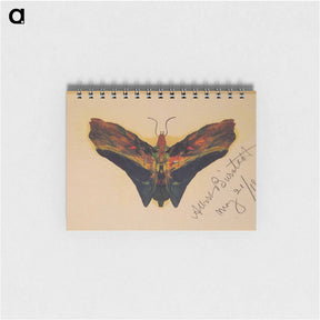 アートメモ帳-Butterfly (second version) - アルバート ビアスタット Memo.