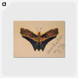 アートポストカード-Butterfly (second version) - アルバート ビアスタット Postcard.