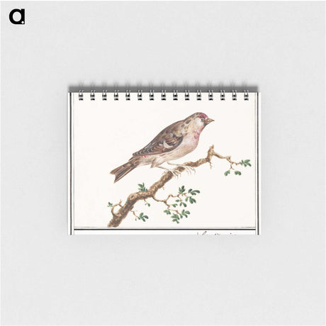3-9_Anselmus-Boetius-de-Boodt_memo