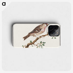 3-9_Anselmus-Boetius-de-Boodt_phone