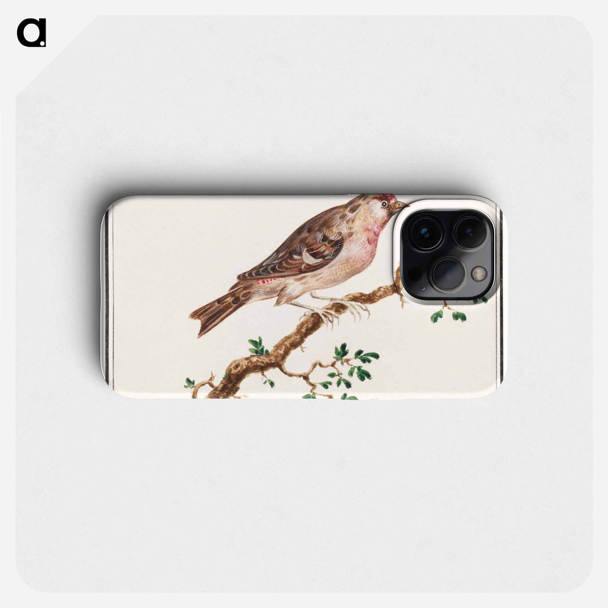 Redpoll - アンセルムス ボエティウス デ ブート Phone Case.