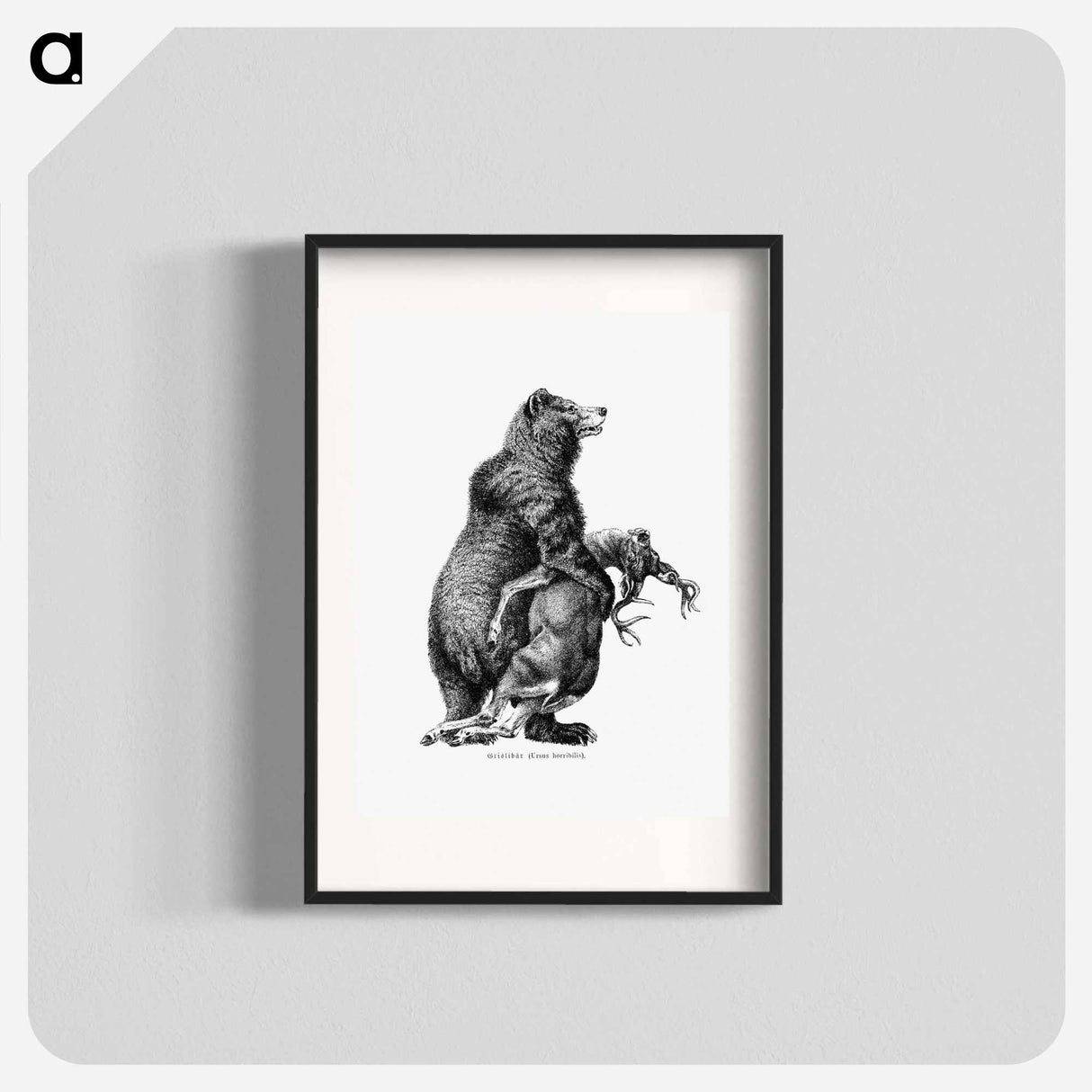 アートポスター-Grizzly Bear from Amerika
 - 大英図書館 Poster.