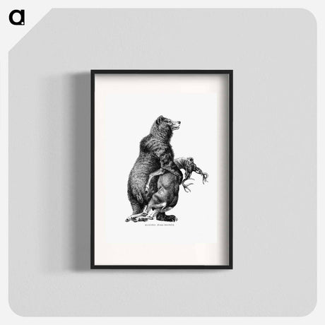 アートポスター-Grizzly Bear from Amerika
 - 大英図書館 Poster.