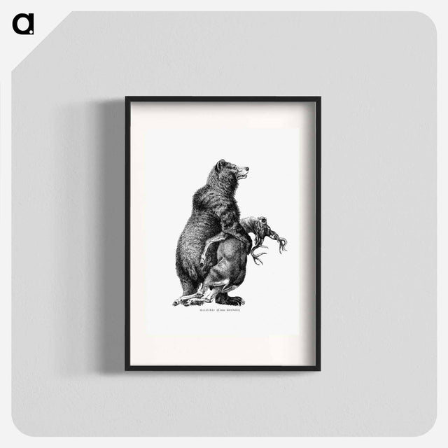 アートポスター-Grizzly Bear from Amerika
 - 大英図書館 Poster.