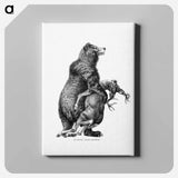 アートパネル-Grizzly Bear from Amerika
 - 大英図書館 Canvas.