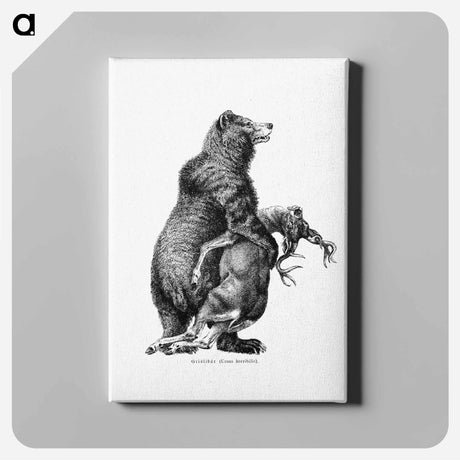 アートパネル-Grizzly Bear from Amerika
 - 大英図書館 Canvas.