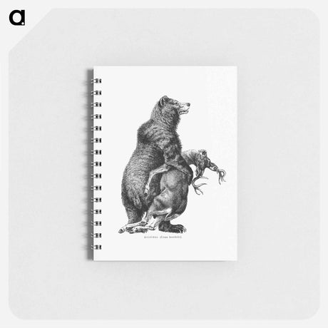 アートメモ帳-Grizzly Bear from Amerika
 - 大英図書館 Memo.