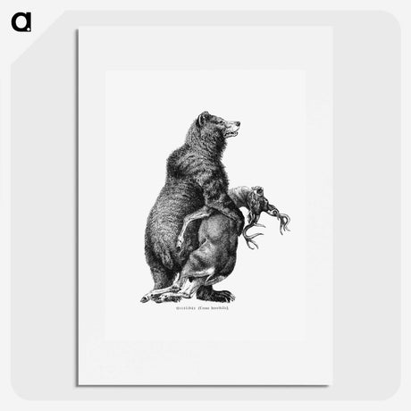 3-9_British-Library_picture