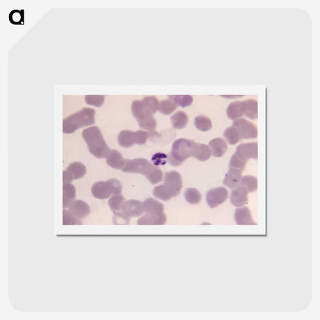 3-9_COVID-19_hagaki