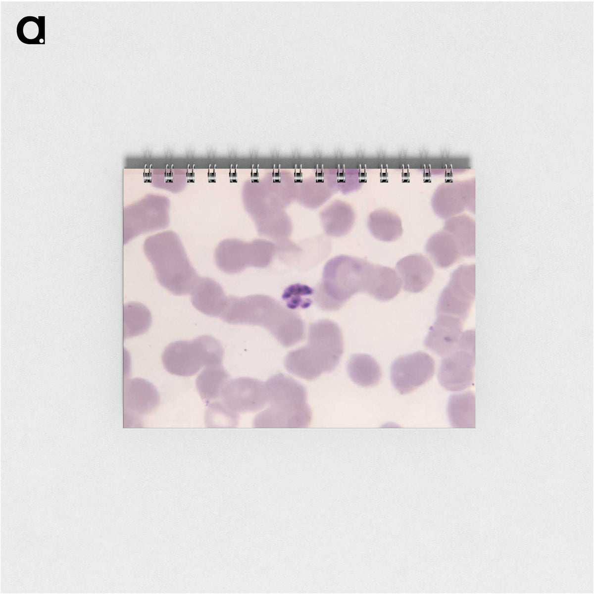 3-9_COVID-19_memo